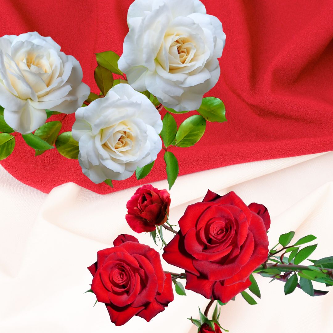 Ide Hadiah Lomba 17 Agustus yang Unik dan Berkesan, Bikin Semangat 45 Mengalir Terus!