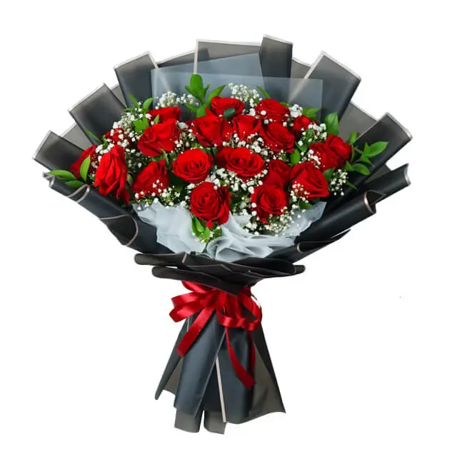 Wonder Red Ruby Rose