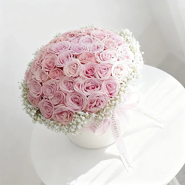 Daydream Rose