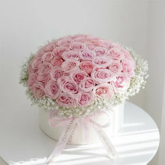Daydream Rose