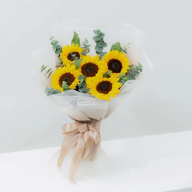 Sunflower Kissed