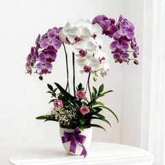 Bunga anggrek ungu dan putih elegan dengan pita ungu, disajikan oleh online florist untuk berbagai kesempatan.