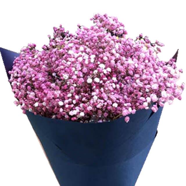 Buket bunga baby's breath ungu muda, online florist terpercaya untuk hadiah spesial