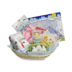 Keranjang hadiah bayi lengkap dengan perlengkapan bayi, mainan, dan perlengkapan mandi dari online florist