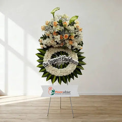 The Condolenza
