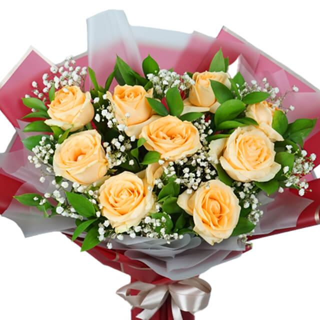 Wonder Sunset Peach Rose