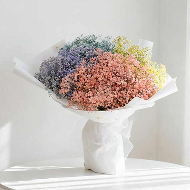 Odette Baby Breath
