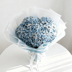Hydrangea Ocean Serenade