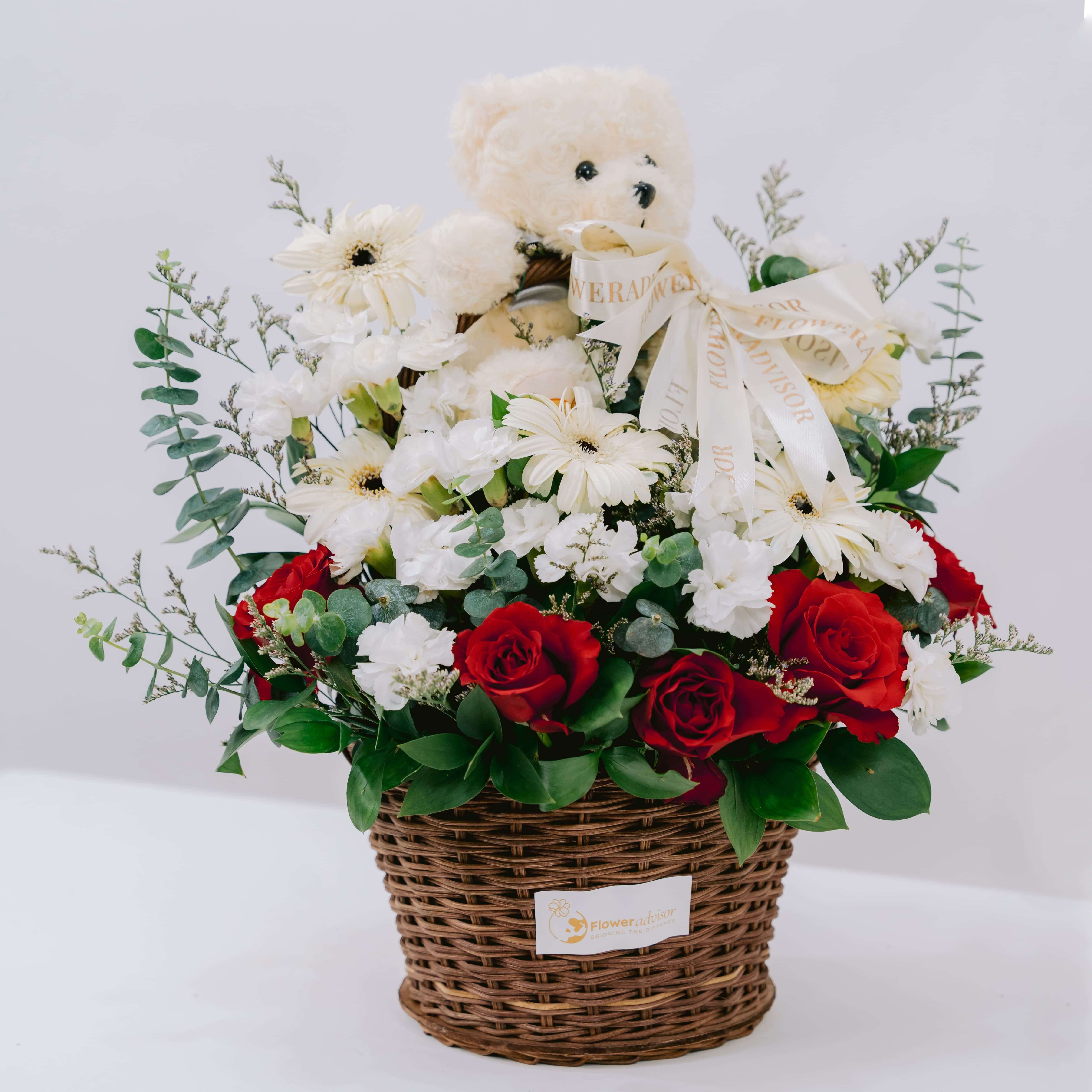 Teddy Serene Hues