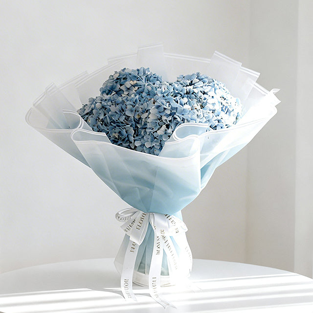 Hydrangea Ocean Serenade