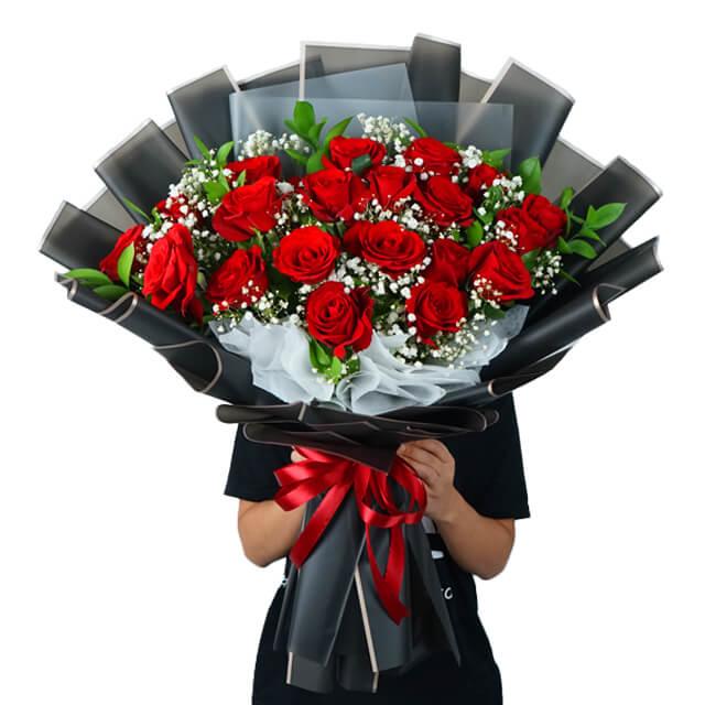 Wonder Red Harmony Rose