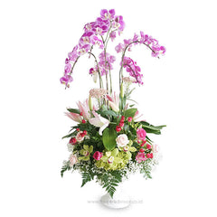 Classic Arrangement Orchids - Classic Diana