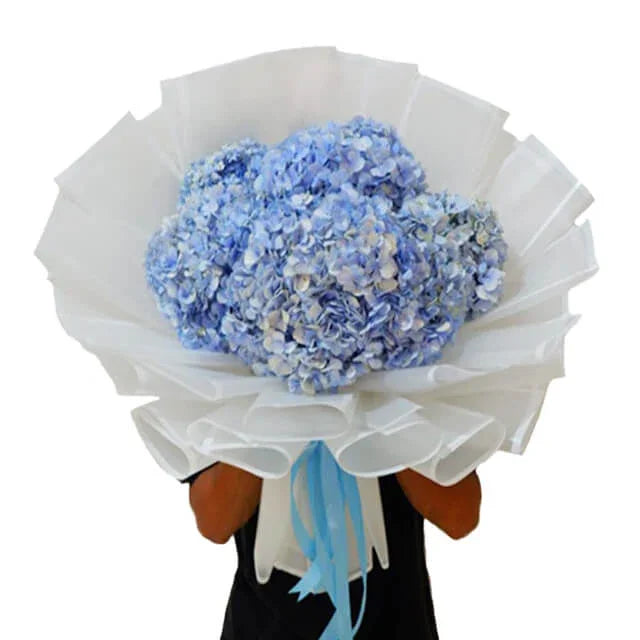 Buket bunga hortensia biru cantik dari online florist, dibungkus kertas putih dengan pita biru