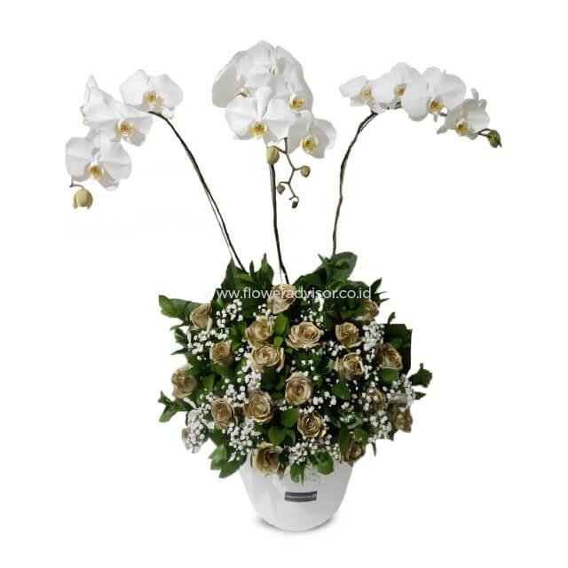 Bunga orkid putih dan mawar emas dalam vas putih, layanan online florist terpercaya
