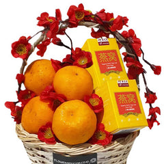 Healthy C - IMLEK 2024