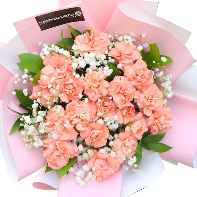 Bunch of Love - Classic Carnation