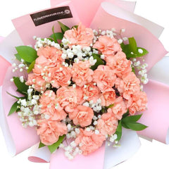Bunch of Love - Classic Carnation