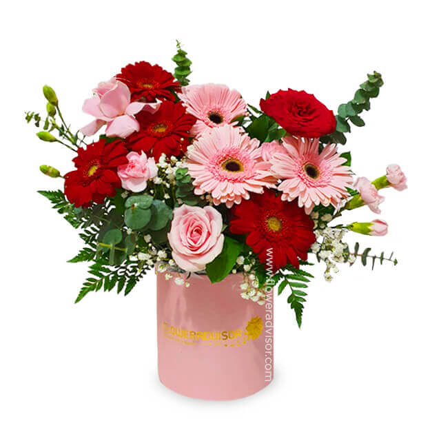 Enchanting Gerbera Bloom Box - Joyous Shades