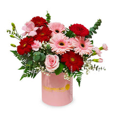 Enchanting Gerbera Bloom Box - Joyous Shades