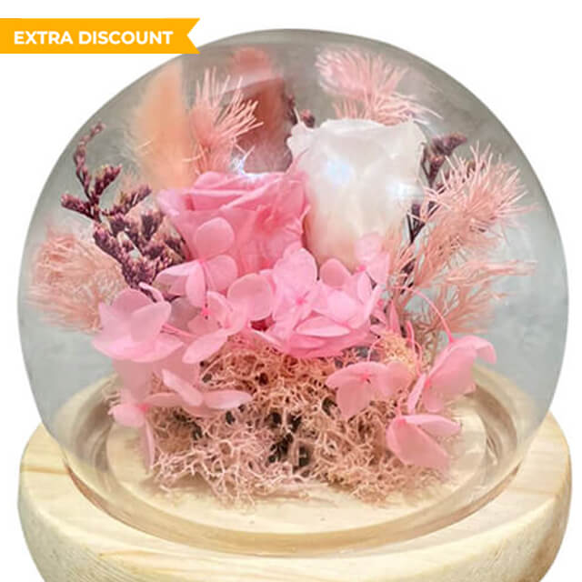 Forever Love Mini Dome B free LED lights