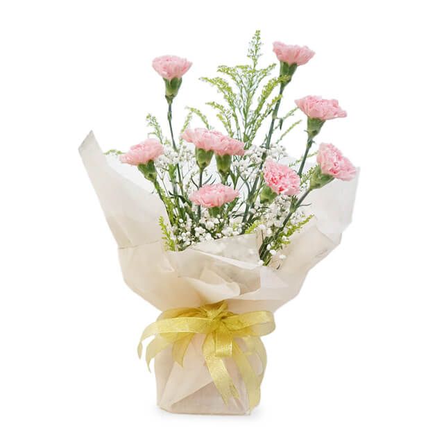 Spring Splendor - Carnation Arrangement