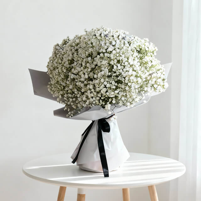 Innocent Baby Breath