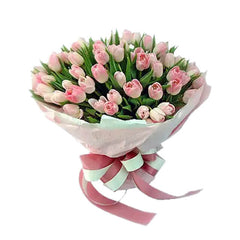 Tulips Garden Symphony