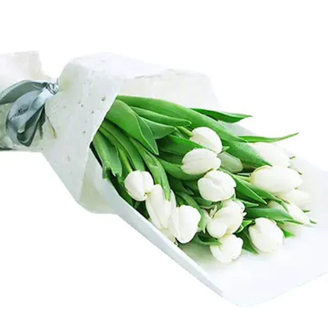 Tulips Bloom Breeze