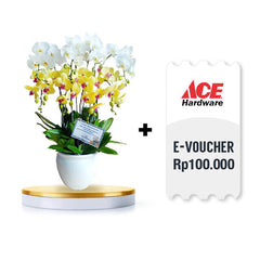 Orchid Radiance with Ace Hardware e voucher