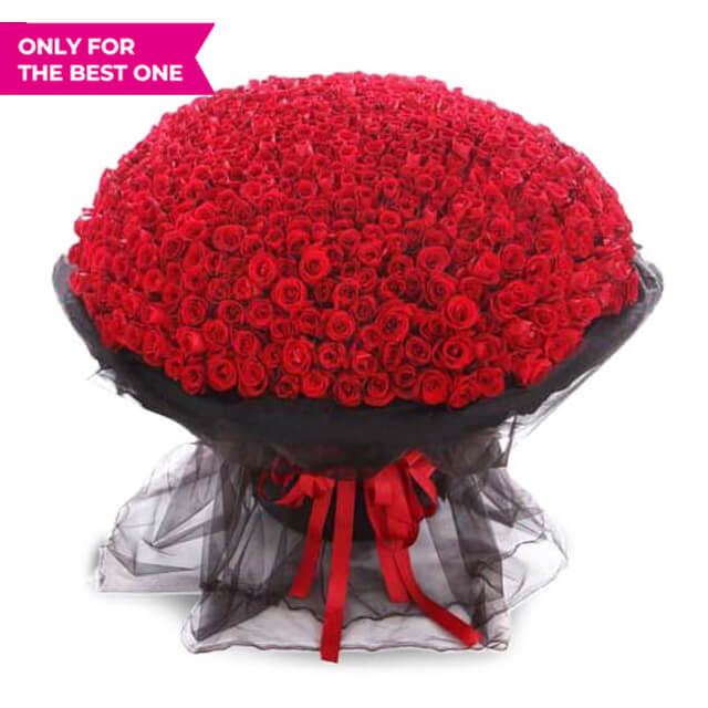 Buket Bunga Valentine Every Day with You - VDAY