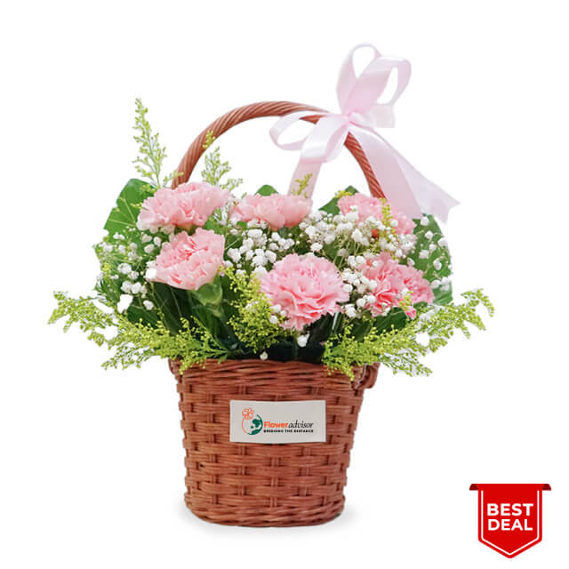 Pink Carnation Harmony Mothers Day 2025