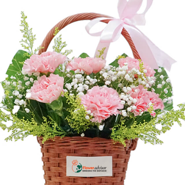 Pink Carnation Harmony Mothers Day 2025