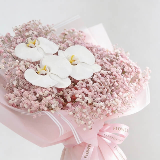 Soft Serenity - Vday