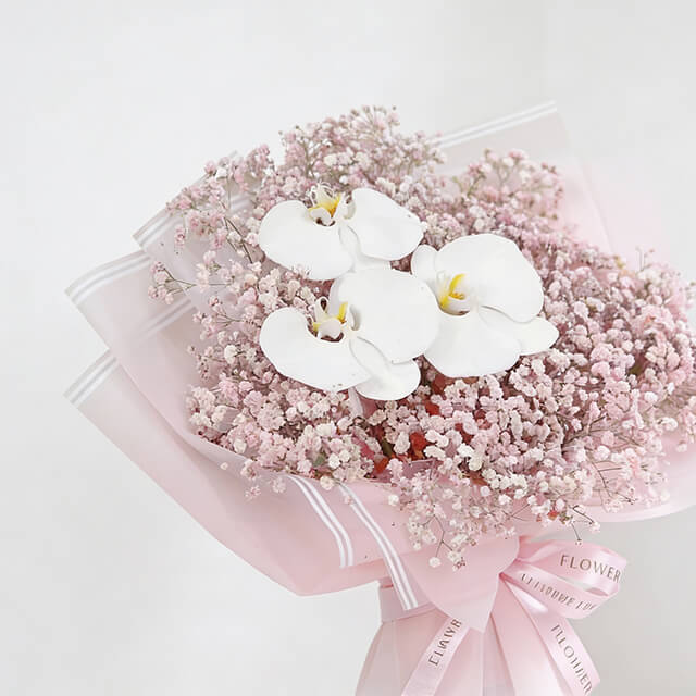 Soft Serenity - Vday