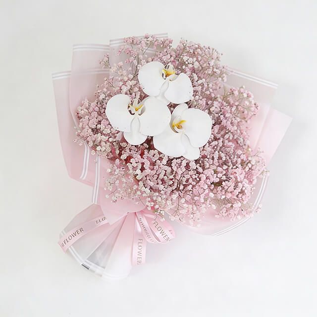 Soft Serenity - Vday