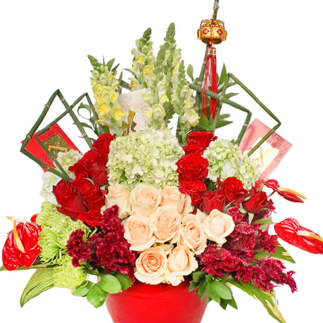 Garnet Glory - Bunga Imlek 2025