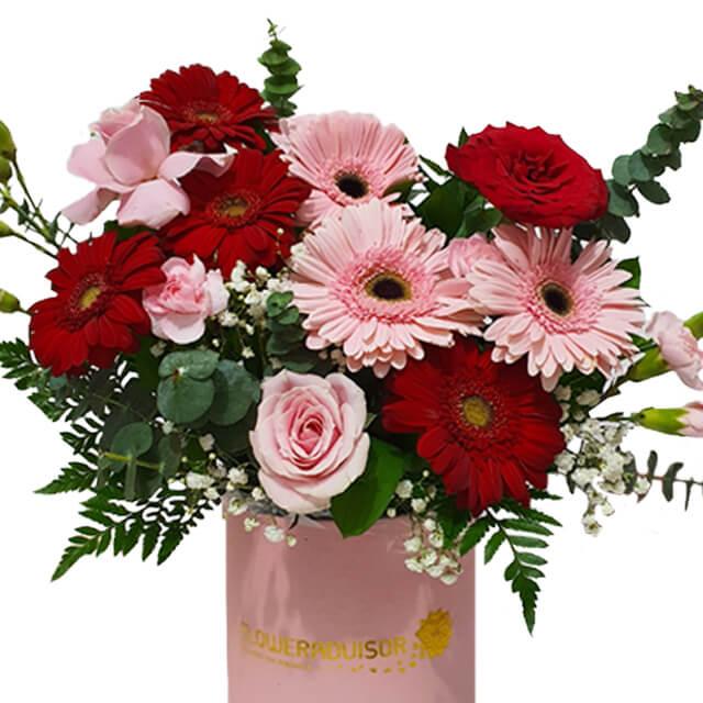 Enchanting Gerbera Bloom Box - Joyous Shades