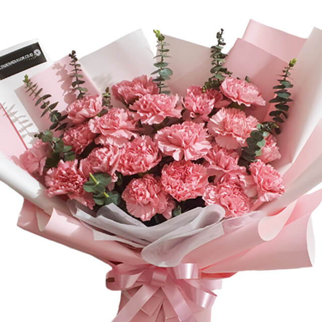 20 Carnations Bouquet - Loving Dimension