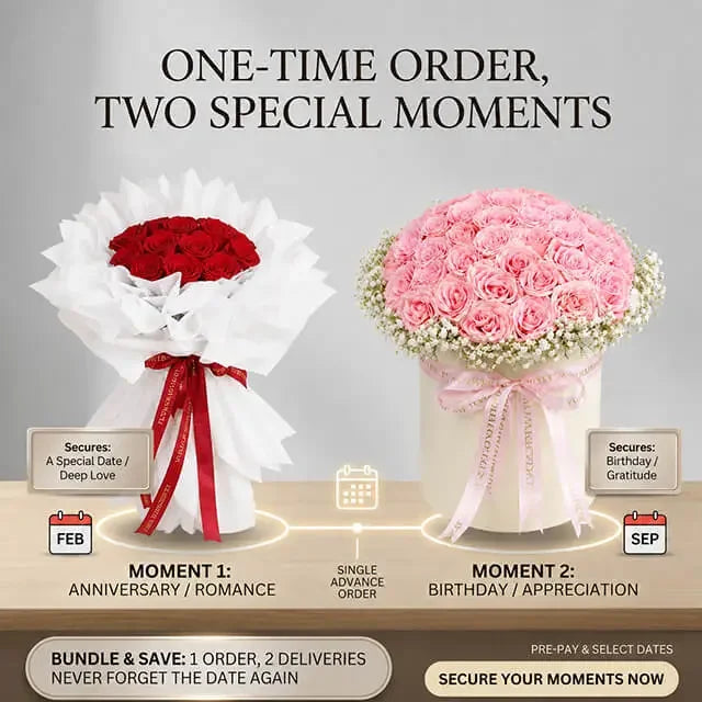 Long Distance Relationship Plan