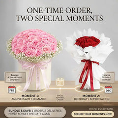 Long Distance Relationship Plan