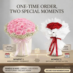 Long Distance Relationship Plan