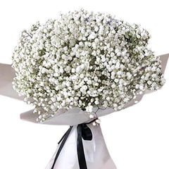 Buket bunga baby's breath putih elegan dari online florist, dikemas rapi dengan pita hitam