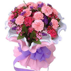 Beautiful Carnations