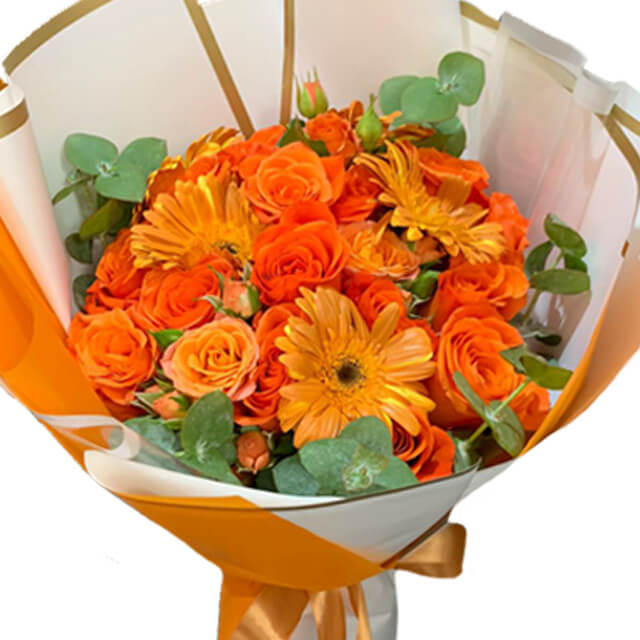 All Orange