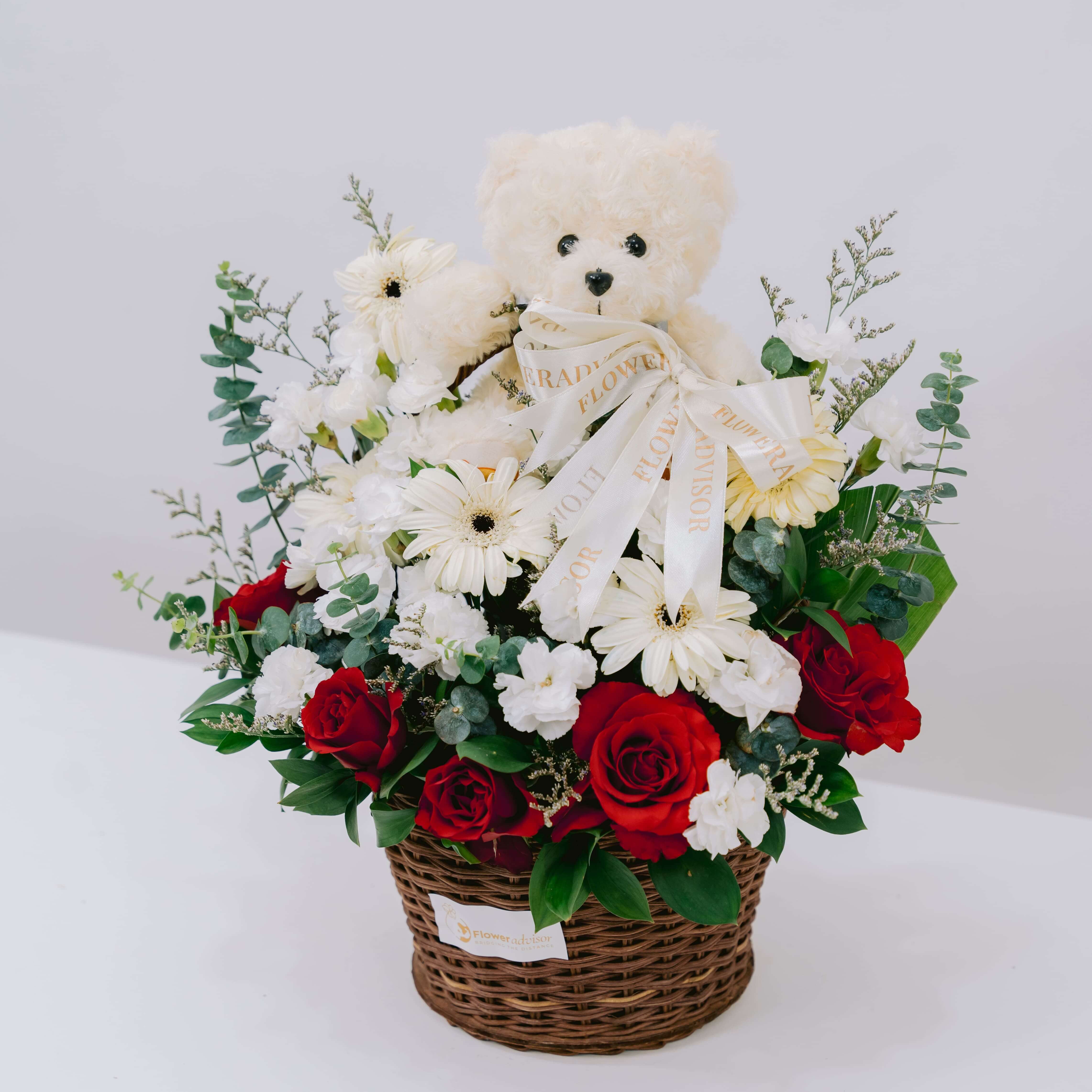 Teddy Serene Hues