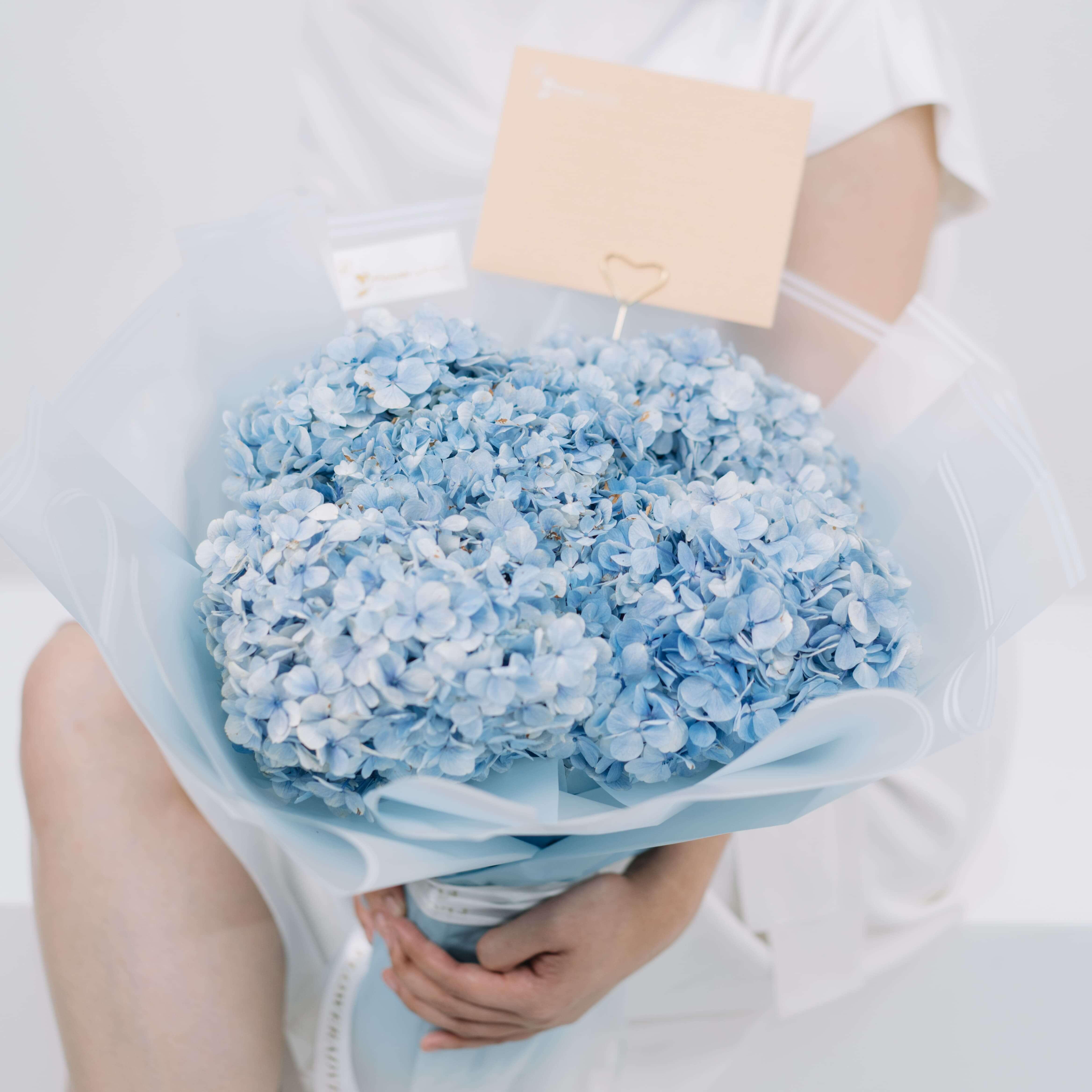 Hydrangea Ocean Serenade