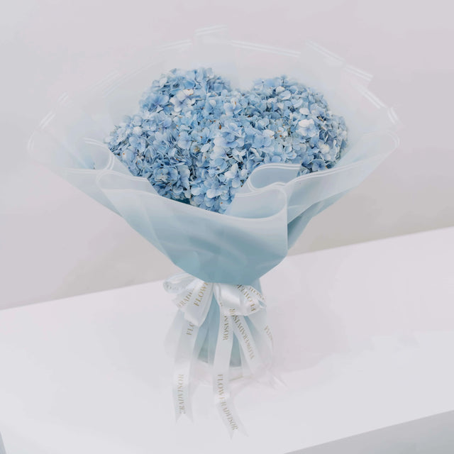 Hydrangea Ocean Serenade