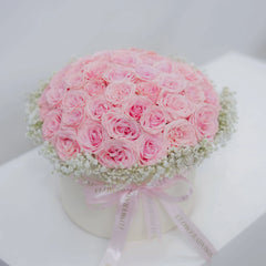 Daydream Rose