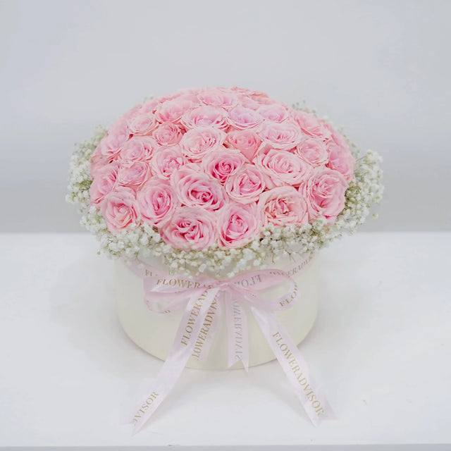 Daydream Rose