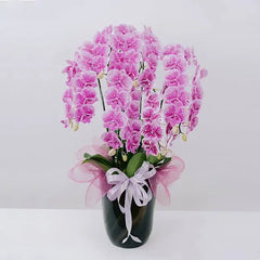Bunga anggrek ungu cantik dalam vas hitam, ideal untuk online florist